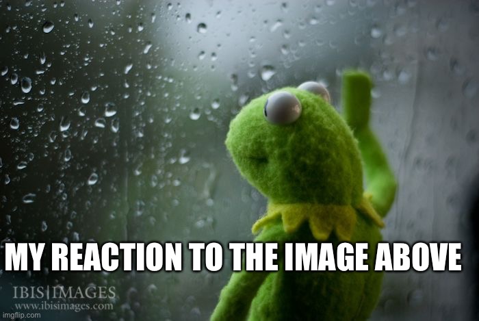 Look up | MY REACTION TO THE IMAGE ABOVE | image tagged in kermit window | made w/ Imgflip meme maker