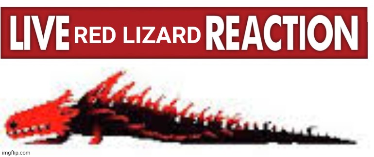 Live red lizard reaction to the post above | RED LIZARD | made w/ Imgflip meme maker