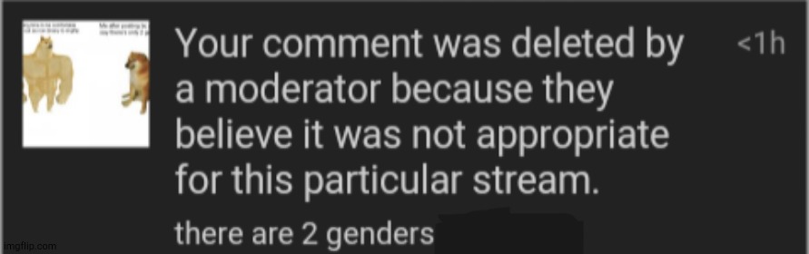 Imagine being selective on what is offensive @the mod who deleted this | made w/ Imgflip meme maker
