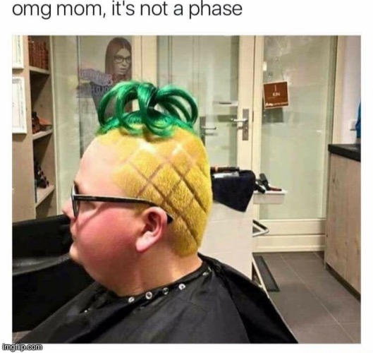 Anybody want this hairstyle? | image tagged in crazy hair,cursed,cursed image,pineapple | made w/ Imgflip meme maker