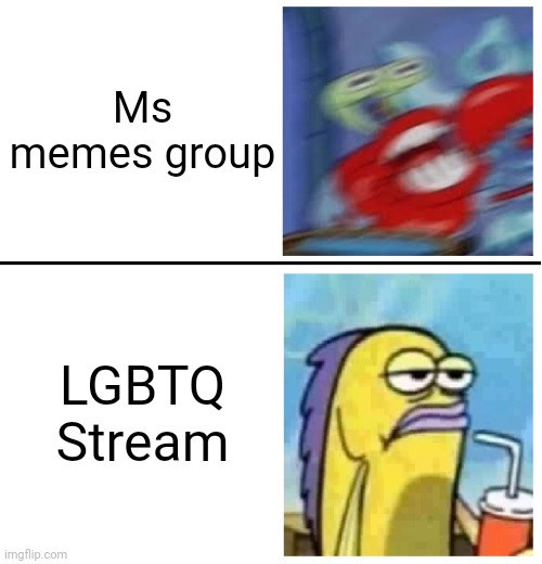 MS memes group go brrr | Ms memes group; LGBTQ Stream | image tagged in excited vs bored | made w/ Imgflip meme maker
