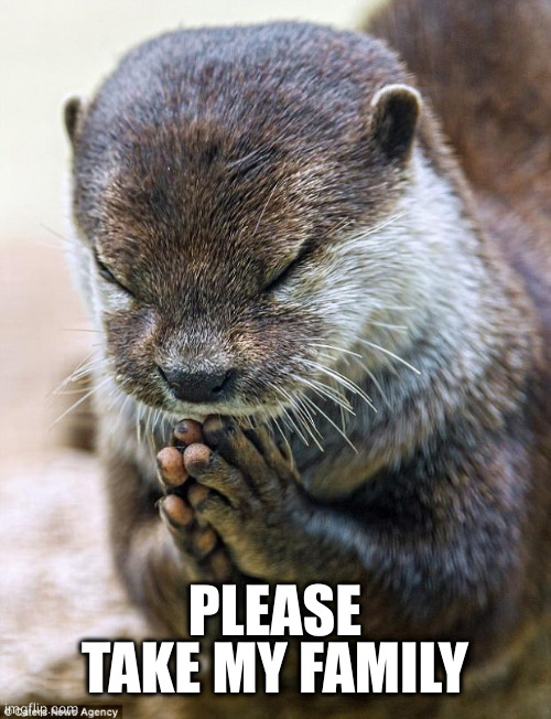 Thank you Lord Otter | PLEASE TAKE MY FAMILY | image tagged in thank you lord otter | made w/ Imgflip meme maker