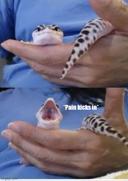 Pov: You stubbed your toe | *Pain kicks in* | image tagged in when you stub your toe,lizard,pain | made w/ Imgflip meme maker