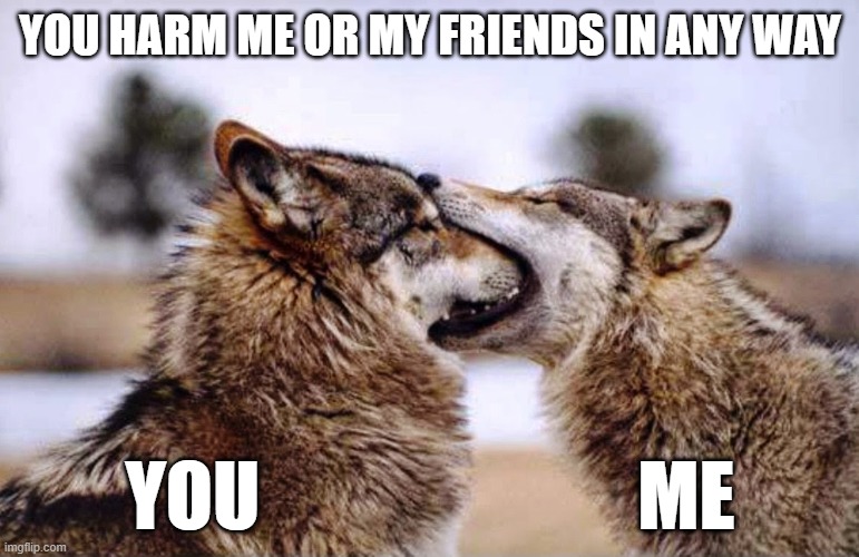 You bark I bite | YOU HARM ME OR MY FRIENDS IN ANY WAY; YOU                         ME | image tagged in friends | made w/ Imgflip meme maker