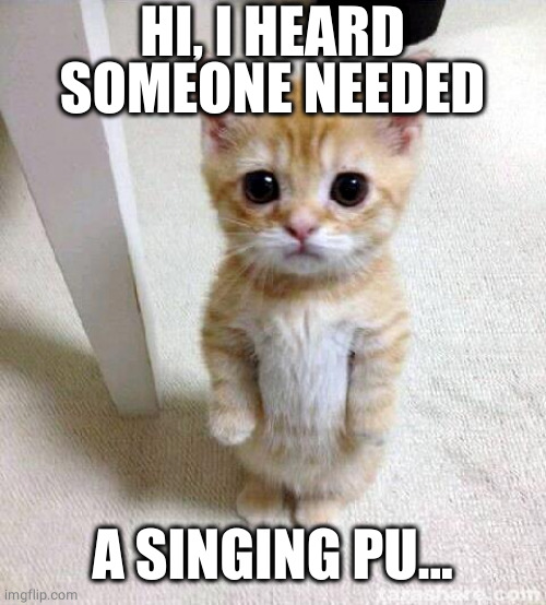 Cute Cat Meme | HI, I HEARD SOMEONE NEEDED A SINGING PU... | image tagged in memes,cute cat | made w/ Imgflip meme maker