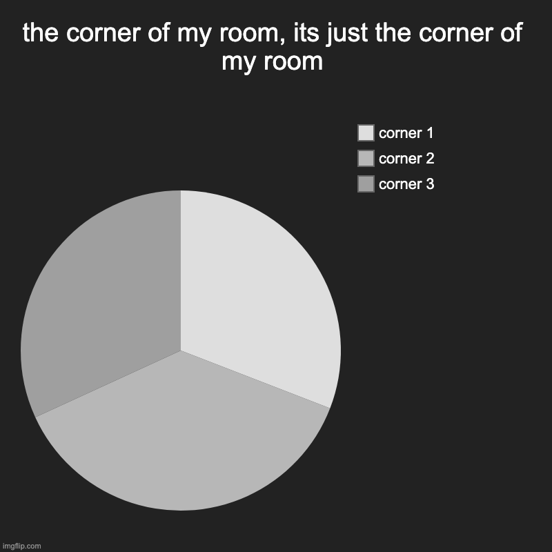 the corner of my room.... its just the corner of my room | the corner of my room, its just the corner of my room | corner 3, corner 2, corner 1 | image tagged in charts,pie charts,stupid | made w/ Imgflip chart maker