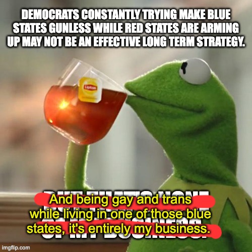 Armed minorities are harder to oppress. | And being gay and trans while living in one of those blue states, it's entirely my business. | image tagged in gun control,2nd amendment,mass shooting,lgbtq,transphobic | made w/ Imgflip meme maker