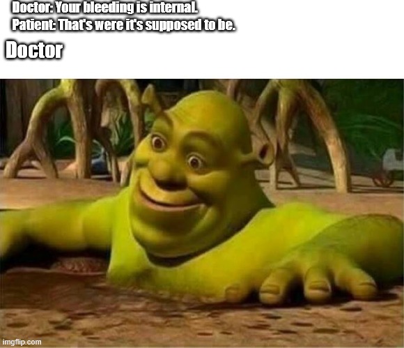 shrek | Doctor: Your bleeding is internal. Patient: That's were it's supposed to be. Doctor | image tagged in shrek,dark humor | made w/ Imgflip meme maker