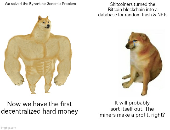 Buff Doge vs. Cheems Meme | We solved the Byzantine Generals Problem; Shitcoiners turned the Bitcoin blockchain into a database for random trash & NFTs; Now we have the first decentralized hard money; It will probably sort itself out. The miners make a profit, right? | image tagged in memes,buff doge vs cheems | made w/ Imgflip meme maker