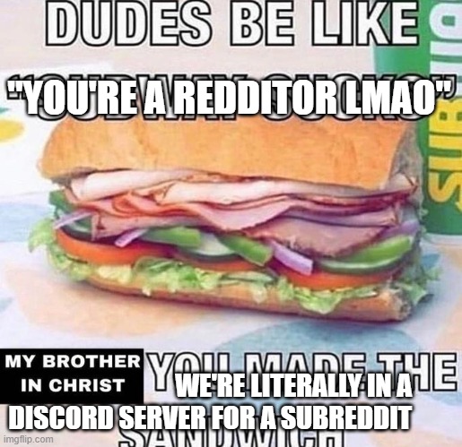 Discord slander | "YOU'RE A REDDITOR LMAO"; WE'RE LITERALLY IN A DISCORD SERVER FOR A SUBREDDIT | image tagged in brother in christ subway | made w/ Imgflip meme maker