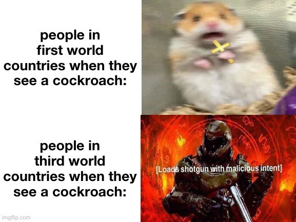 Why are you guys so scared of cockroaches? | people in first world countries when they see a cockroach:; people in third world countries when they see a cockroach: | image tagged in memes | made w/ Imgflip meme maker
