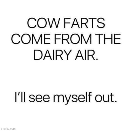 Cow | image tagged in bad pun | made w/ Imgflip meme maker