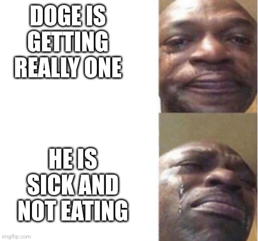 Doge is dying | DOGE IS GETTING REALLY ONE; HE IS SICK AND NOT EATING | image tagged in black guy crying,doge,sick,sad | made w/ Imgflip meme maker