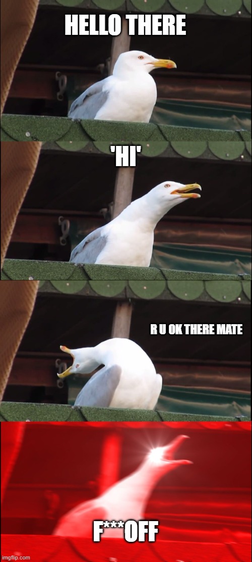 fun | HELLO THERE; 'HI'; R U OK THERE MATE; F***OFF | image tagged in memes,inhaling seagull,fun | made w/ Imgflip meme maker