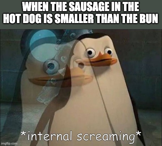 most disappointing thing in the world | WHEN THE SAUSAGE IN THE HOT DOG IS SMALLER THAN THE BUN | image tagged in private internal screaming,food,hot dog,emotional damage,sad cat,relatable | made w/ Imgflip meme maker