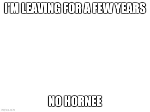 You guys suck | I’M LEAVING FOR A FEW YEARS; NO HORNEE | image tagged in die | made w/ Imgflip meme maker