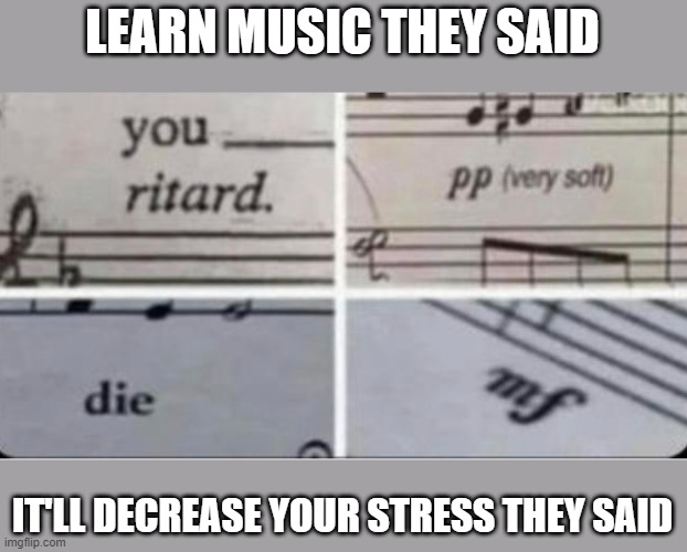 music can release stress | LEARN MUSIC THEY SAID; IT'LL DECREASE YOUR STRESS THEY SAID | made w/ Imgflip meme maker