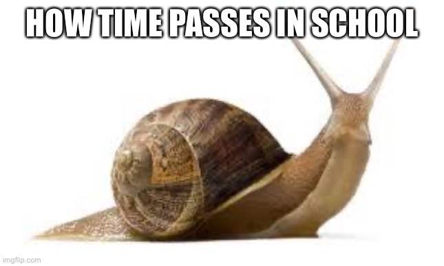 Omfg i hate this one fact | HOW TIME PASSES IN SCHOOL | image tagged in snail | made w/ Imgflip meme maker