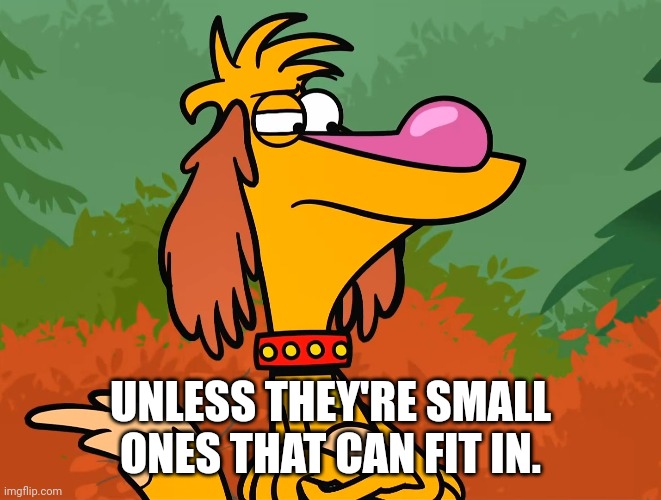 UNLESS THEY'RE SMALL ONES THAT CAN FIT IN. | made w/ Imgflip meme maker