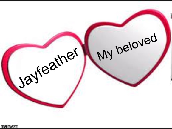 My beloved | My beloved Jayfeather | image tagged in my beloved | made w/ Imgflip meme maker