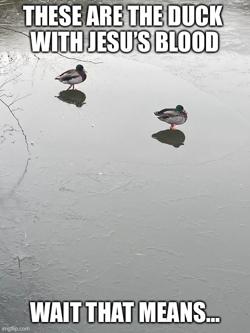 THESE ARE THE DUCK 
WITH JESU’S BLOOD; WAIT THAT MEANS… | made w/ Imgflip meme maker