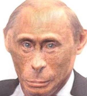 Putin monkey Blank Meme Template