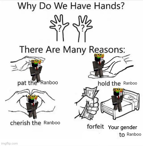 Why do we have hands? (all blank) | Ranboo; Ranboo; Ranboo; Your gender; Ranboo | image tagged in why do we have hands all blank | made w/ Imgflip meme maker