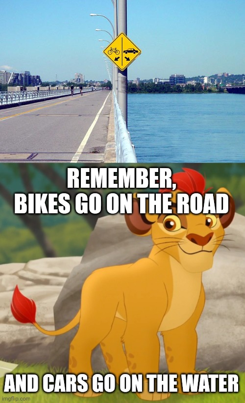 LOL what a mess-up | REMEMBER, BIKES GO ON THE ROAD; AND CARS GO ON THE WATER | image tagged in kion,water,cars,bikes,stupid signs | made w/ Imgflip meme maker