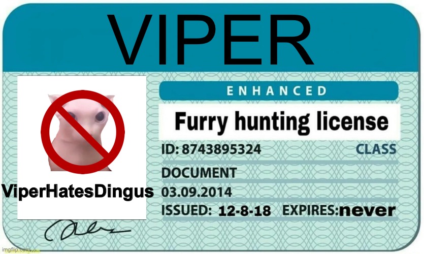 hehe | VIPER; ViperHatesDingus | image tagged in furry hunting license | made w/ Imgflip meme maker