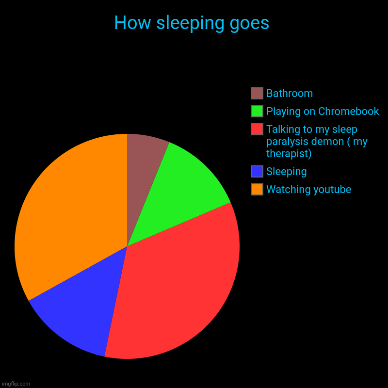 How sleeping goes | Watching youtube, Sleeping, Talking to my sleep paralysis demon ( my therapist), Playing on Chromebook , Bathroom | image tagged in charts,pie charts | made w/ Imgflip chart maker