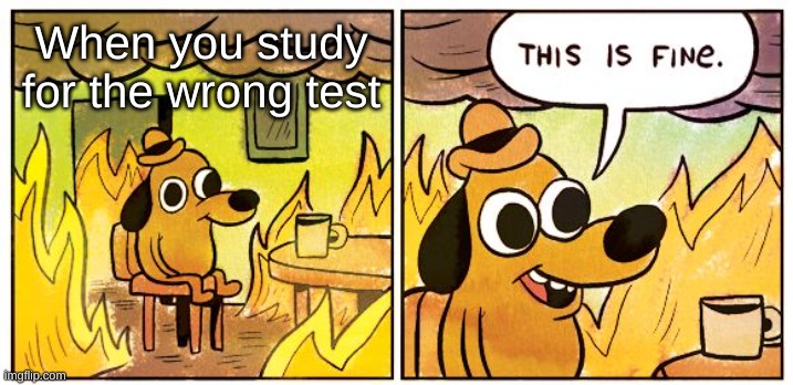 This is not fine | When you study for the wrong test | image tagged in memes,this is fine,funny,funny memes,homework,school | made w/ Imgflip meme maker