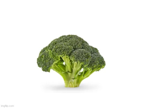 broccoli | image tagged in vegetables | made w/ Imgflip meme maker
