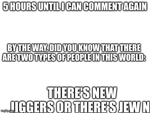 5 HOURS UNTIL I CAN COMMENT AGAIN; BY THE WAY, DID YOU KNOW THAT THERE ARE TWO TYPES OF PEOPLE IN THIS WORLD:; THERE'S NEW JIGGERS OR THERE'S JEW NI | made w/ Imgflip meme maker