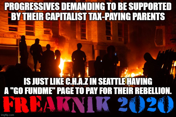 CHAZ | PROGRESSIVES DEMANDING TO BE SUPPORTED BY THEIR CAPITALIST TAX-PAYING PARENTS; IS JUST LIKE C.H.A.Z IN SEATTLE HAVING A "GO FUNDME" PAGE TO PAY FOR THEIR REBELLION. | image tagged in chaz | made w/ Imgflip meme maker