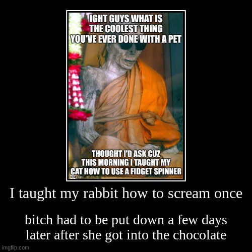 Bitch was the rabbit's name | image tagged in funny,demotivationals | made w/ Imgflip demotivational maker