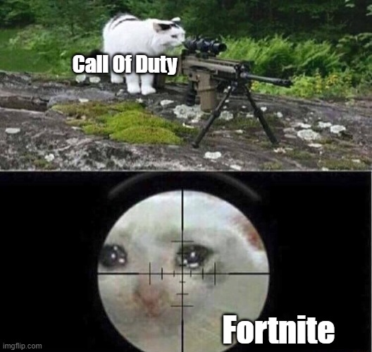 Sniper cat | Call Of Duty; Fortnite | image tagged in sniper cat | made w/ Imgflip meme maker