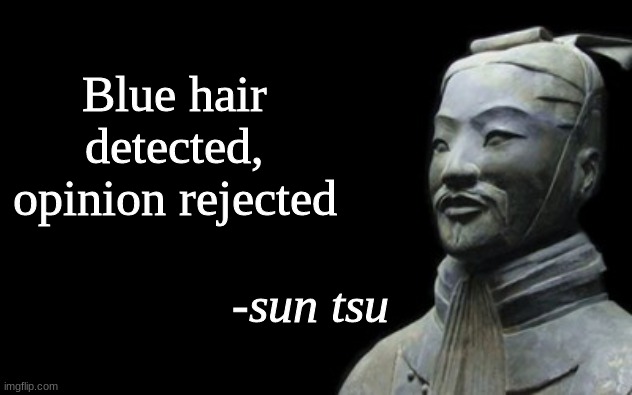twitter slander | Blue hair detected, opinion rejected | image tagged in sun tsu fake quote | made w/ Imgflip meme maker