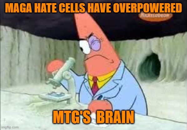 Smart Patrick solo | MAGA HATE CELLS HAVE OVERPOWERED MTG'S  BRAIN | image tagged in smart patrick solo | made w/ Imgflip meme maker