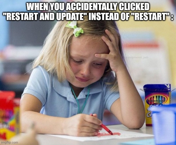 Takes 20 whole mins to update | WHEN YOU ACCIDENTALLY CLICKED "RESTART AND UPDATE" INSTEAD OF "RESTART" : | image tagged in crying girl drawing | made w/ Imgflip meme maker