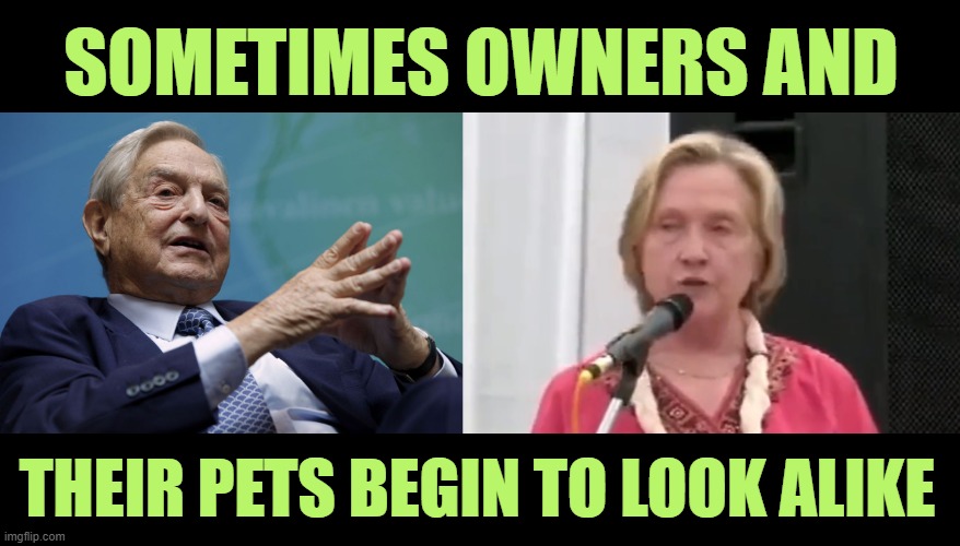 Soros & Clinton | SOMETIMES OWNERS AND; THEIR PETS BEGIN TO LOOK ALIKE | image tagged in george soros | made w/ Imgflip meme maker