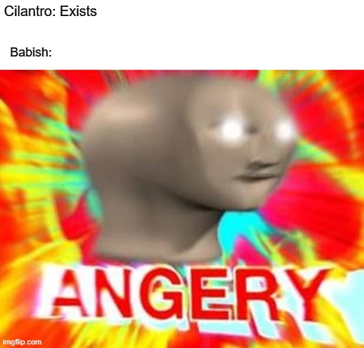 Angry meme man | Cilantro: Exists; Babish: | image tagged in angry meme man | made w/ Imgflip meme maker
