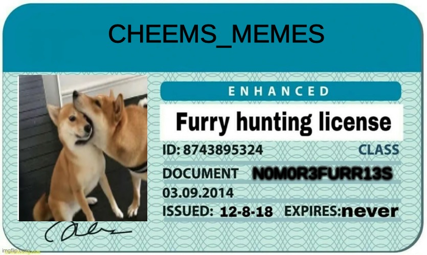 i finally got it :D | CHEEMS_MEMES; N0M0R3FURR13S | image tagged in furry hunting license | made w/ Imgflip meme maker