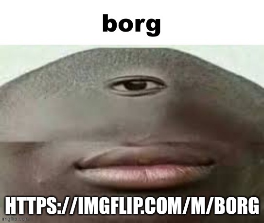 https://imgflip.com/m/borg | HTTPS://IMGFLIP.COM/M/BORG | made w/ Imgflip meme maker