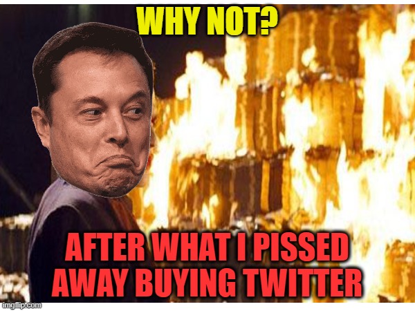 WHY NOT? AFTER WHAT I PISSED AWAY BUYING TWITTER | made w/ Imgflip meme maker