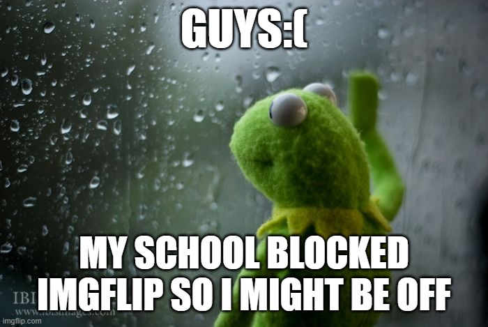 :( | GUYS:(; MY SCHOOL BLOCKED IMGFLIP SO I MIGHT BE OFF | image tagged in kermit window | made w/ Imgflip meme maker
