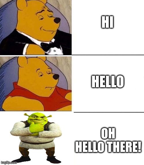 Tuxedo on Top Winnie The Pooh (3 panel) | HI; HELLO; OH HELLO THERE! | image tagged in tuxedo on top winnie the pooh 3 panel | made w/ Imgflip meme maker