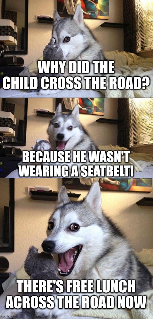 bad pun dog | WHY DID THE CHILD CROSS THE ROAD? BECAUSE HE WASN'T WEARING A SEATBELT! THERE'S FREE LUNCH ACROSS THE ROAD NOW | image tagged in memes,bad pun dog | made w/ Imgflip meme maker