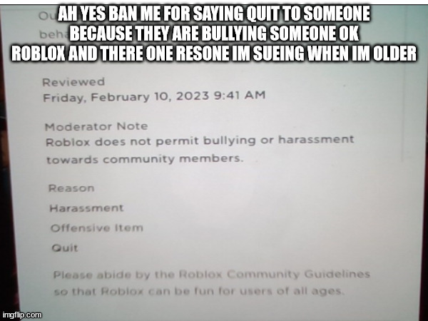 F*** roblox | AH YES BAN ME FOR SAYING QUIT TO SOMEONE BECAUSE THEY ARE BULLYING SOMEONE OK ROBLOX AND THERE ONE RESONE IM SUEING WHEN IM OLDER | made w/ Imgflip meme maker