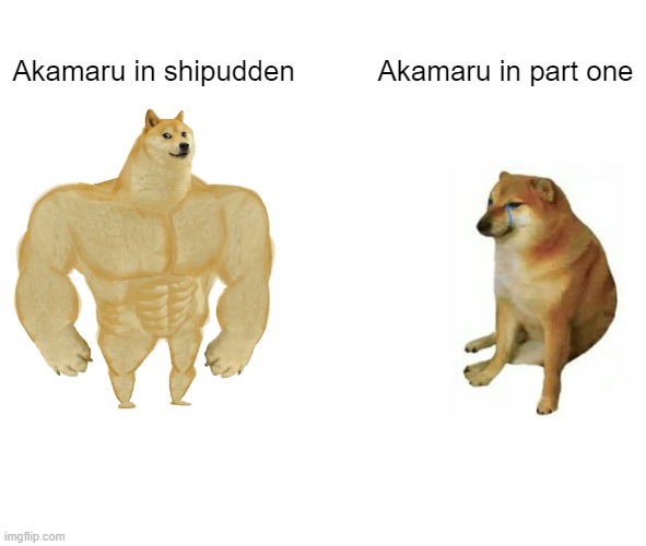 poor Akamaru... | Akamaru in shipudden; Akamaru in part one | image tagged in memes,buff doge vs cheems | made w/ Imgflip meme maker