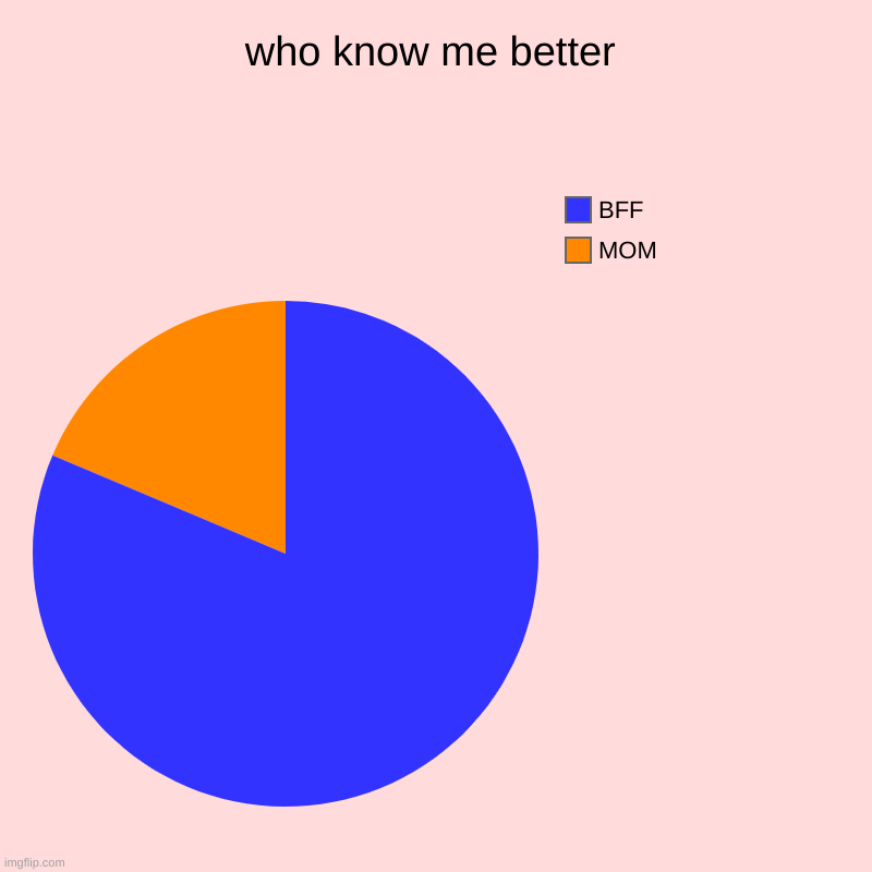 Who knows me better | who know me better | MOM , BFF | image tagged in charts,pie charts | made w/ Imgflip chart maker
